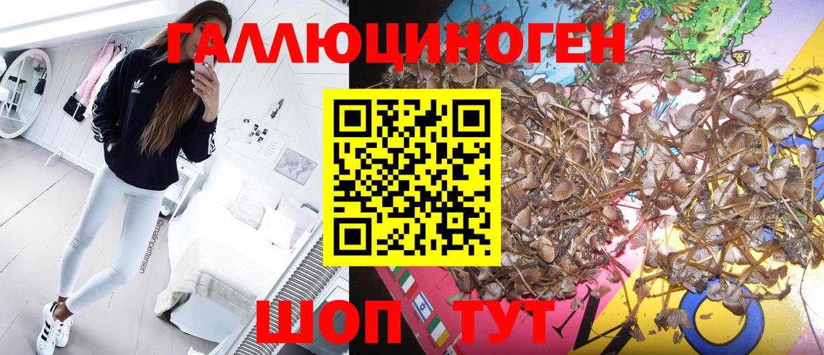 Псилоцибиновые грибы мухоморы Зерноград