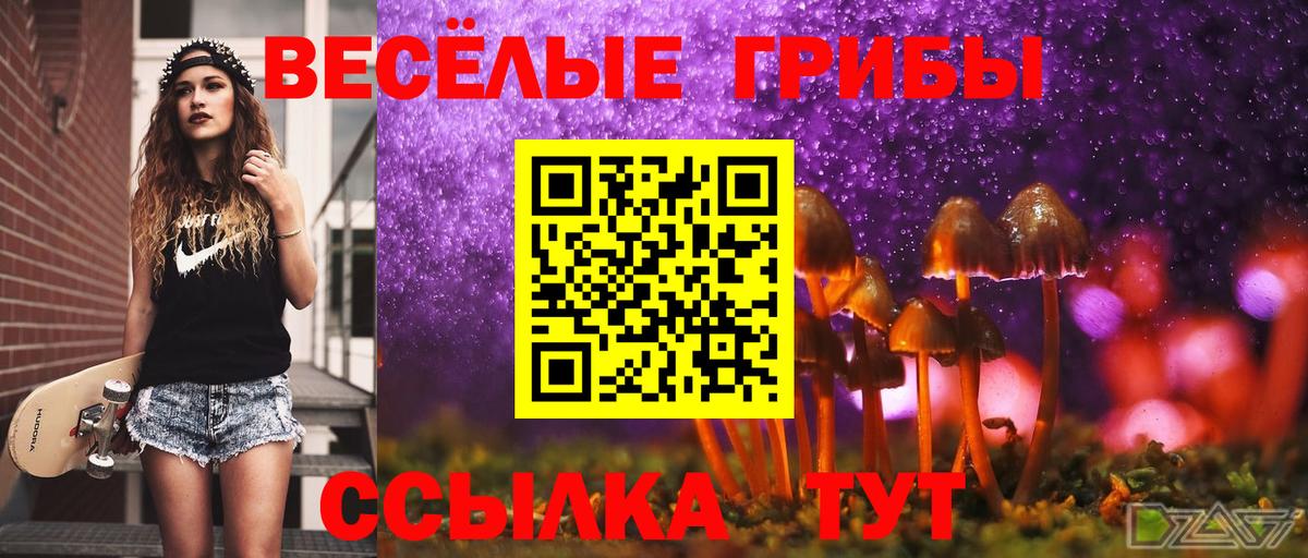 Псилоцибиновые грибы прущие грибы  Вход с VPN  Зерноград 
